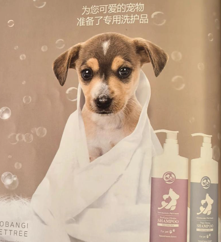 专业美容区